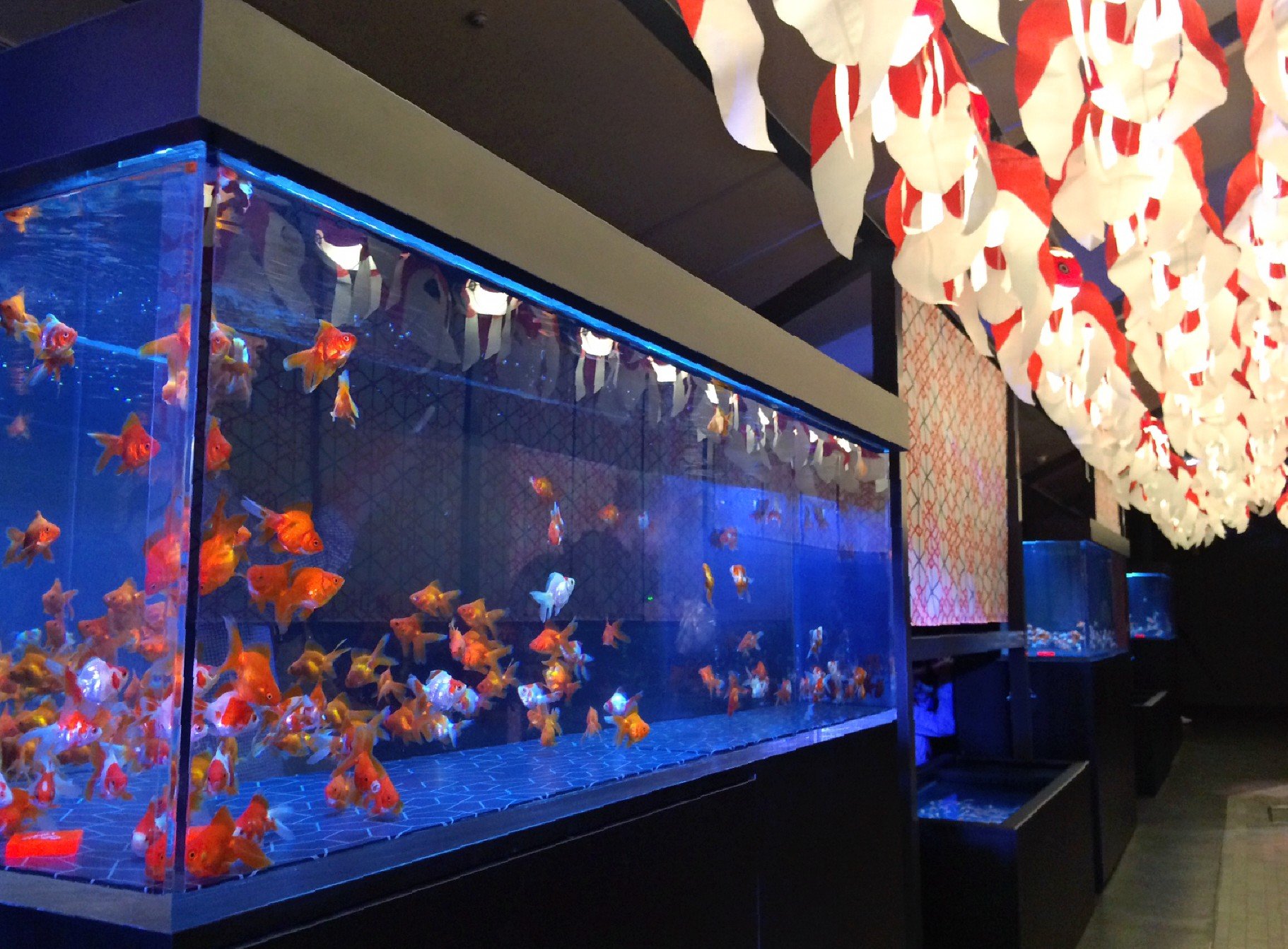 🐠 스미다 수족관 이미지 5